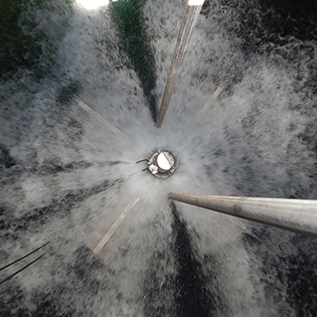 Trihalomethane Removal Systems